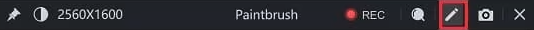 LosslessRec annotation toolbar used during recording